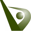 BVI Consulting Engineers logo