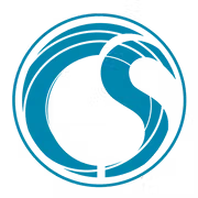 Camelot Spa logo