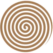 Nelson Mandela Foundation logo