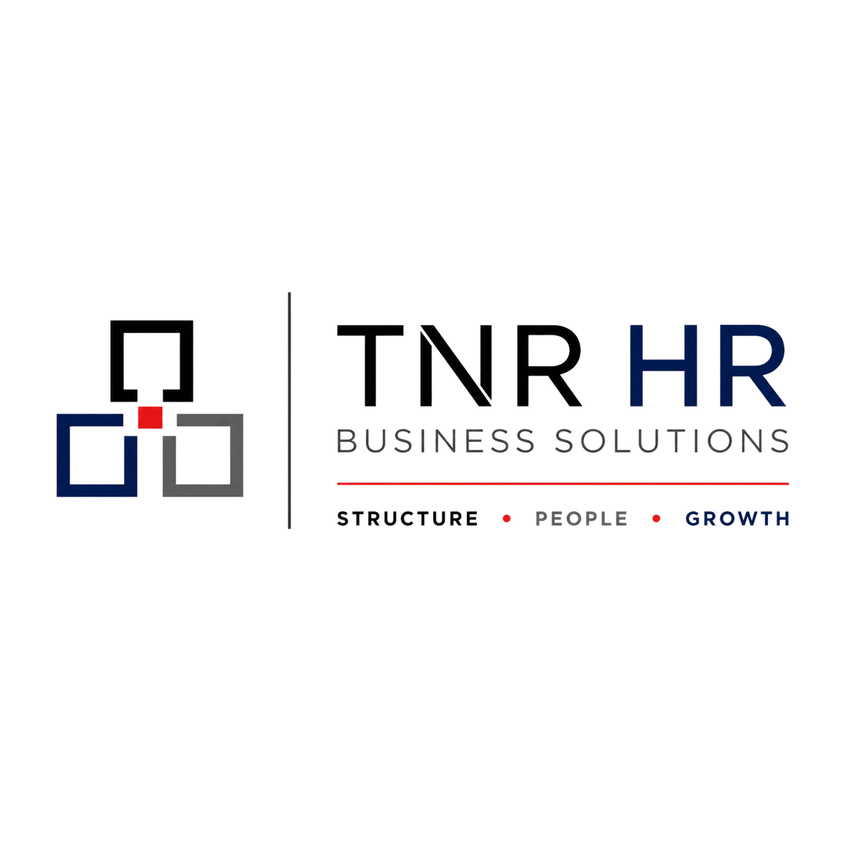 TNR HR Business Solutions logo
