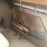 Happy Pianos tuning and servicing listing image