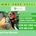 CAMMY Tree Felling logo
