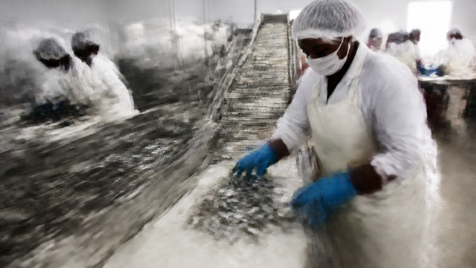 Workers process fish on a seafood production line in a South African cannery as raw-material supply remains constrained.